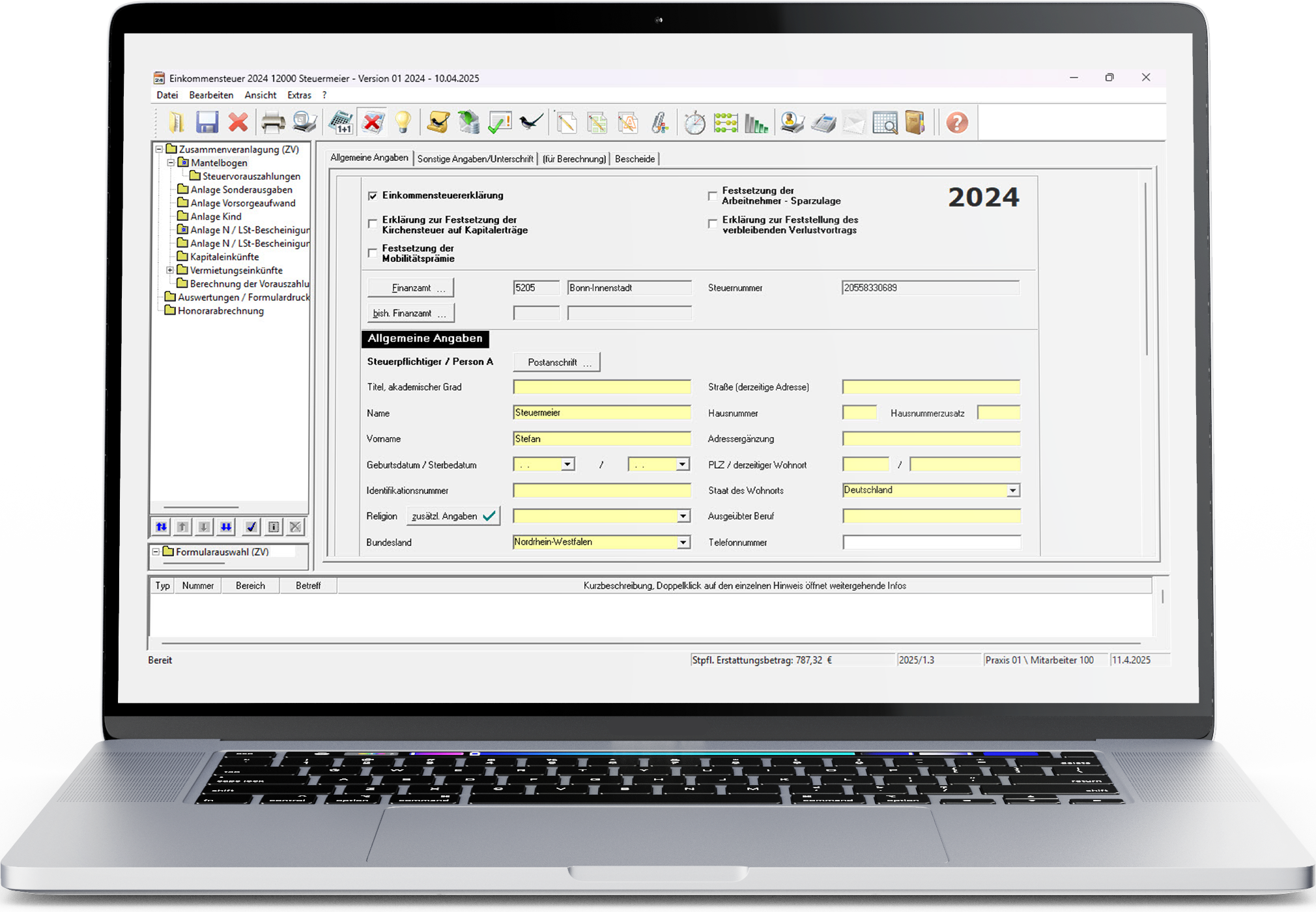 Screenshot: Einkommensteuererklärungen erstellen